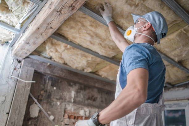 Best Fiberglass Insulation in Lake Hamilton, FL