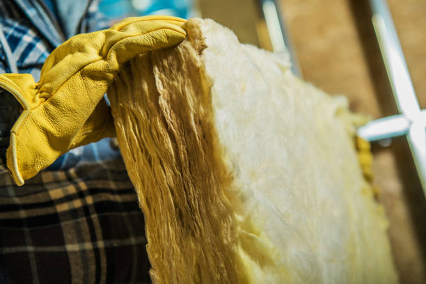 Best Residential Insulation in Lake Hamilton, FL