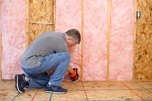 Best Cellulose Insulation in Lake Hamilton, FL