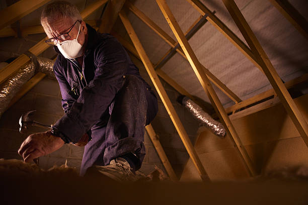 Best Residential Insulation in Lake Hamilton, FL